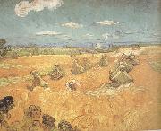 Vincent Van Gogh Wheat Stacks wtih Reaper (nn04) oil painting picture wholesale